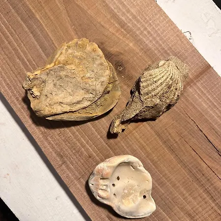 La Casetta Di Nonna Gemma 別荘 *